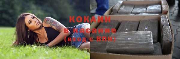 дживик Бронницы