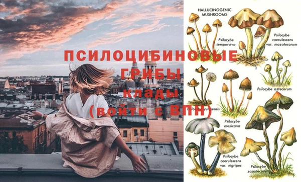 прущие крисы Богородицк