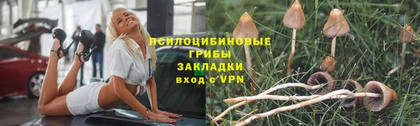 таблы Белокуриха