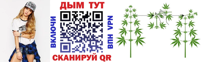 Каннабис ГИДРОПОН Джанкой